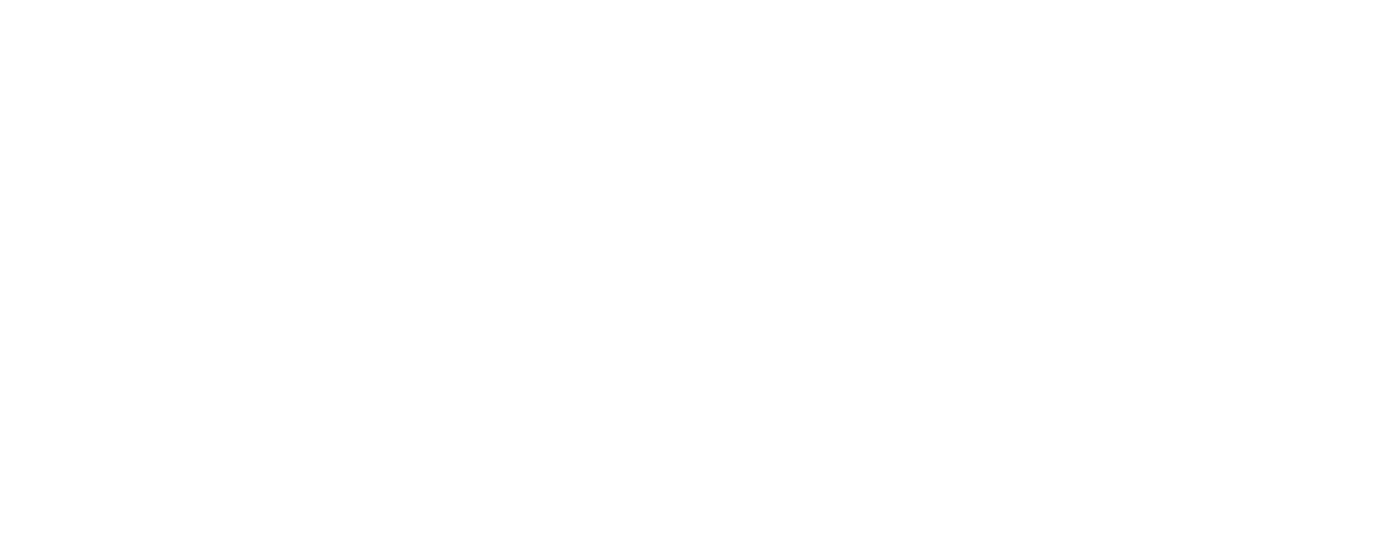 GoAsset_Logo_WHITE Cropped